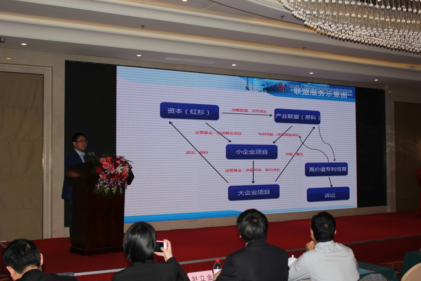 司胡军建处长就国家支持产业发展相关知识产权政策和资源做了专题报告