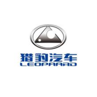 湖南长丰汽车塑料制品有限公司